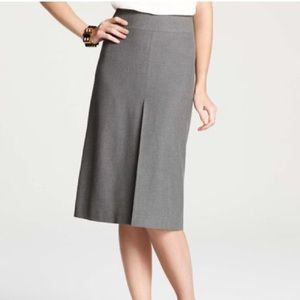NWOT Ann Taylor Sorrel Skirt